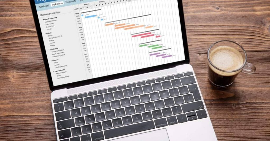 Extending Microsoft Project with Critical Path Showing & Gantt Chart Analysis for Project Managers