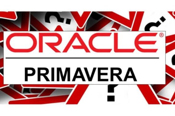 Best Practices for Project Management with Primavera P6