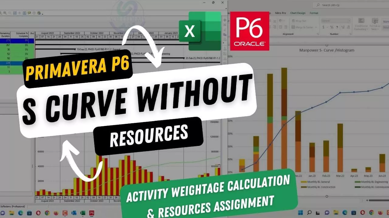 Create S-Curve Without Resources in Primavera P6 using Activity Weightage Calculation