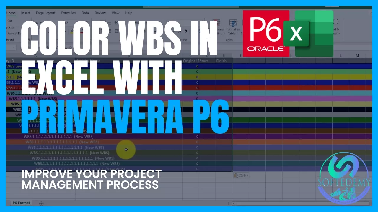 Color WBS in Excel with Primavera P6