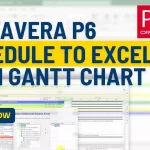 Convert Primavera P6 Schedule to Excel | Quick and Easy Method