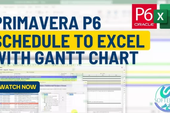 Convert Primavera P6 Schedule To Excel