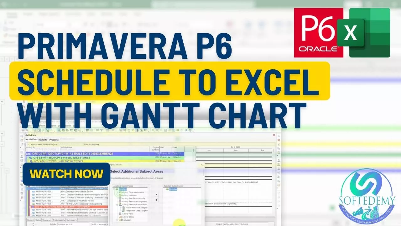 Convert Primavera P6 Schedule To Excel